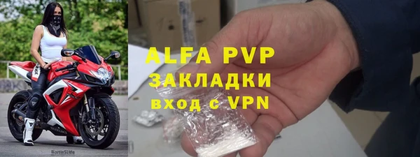 твердый Пересвет