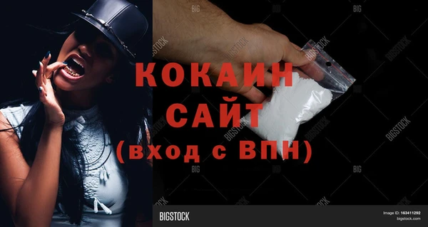 ГАЛЛЮЦИНОГЕННЫЕ ГРИБЫ Пестово