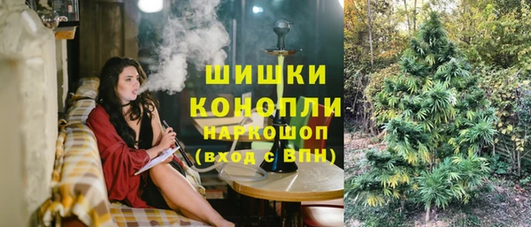 твердый Пересвет