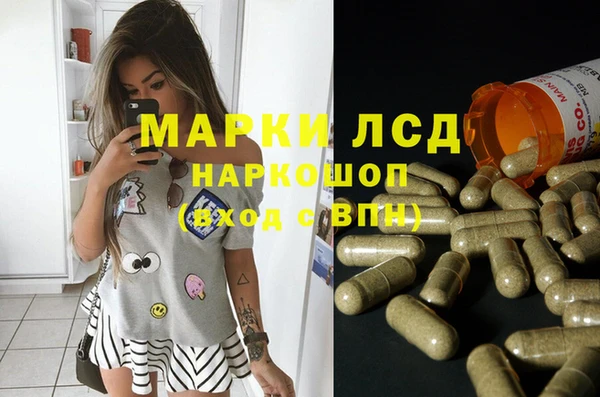 ГАЛЛЮЦИНОГЕННЫЕ ГРИБЫ Пестово