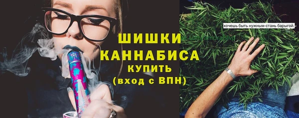ГАЛЛЮЦИНОГЕННЫЕ ГРИБЫ Пестово