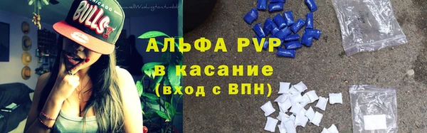 ГАЛЛЮЦИНОГЕННЫЕ ГРИБЫ Пестово