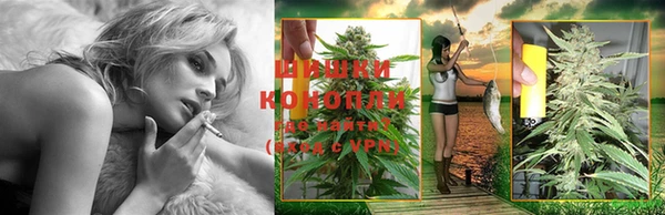 твердый Пересвет