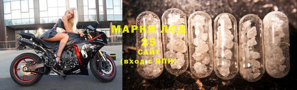 ГАЛЛЮЦИНОГЕННЫЕ ГРИБЫ Пестово