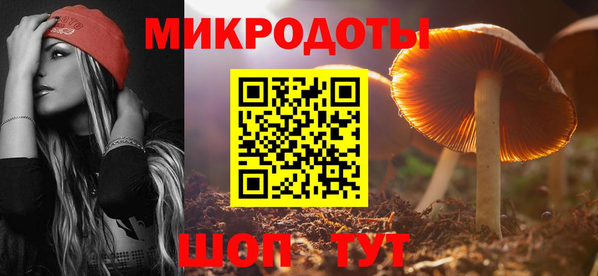 Галлюциногенные грибы Psilocybe Югорск