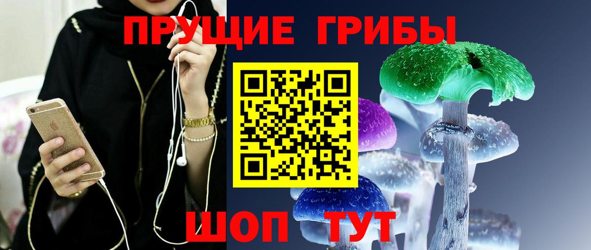 Псилоцибиновые грибы Psilocybe  Галлюциногенные грибы ЛСД  что такое   Югорск  Вход с VPN 